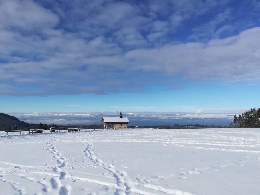 Appartement Vue Sur Le Golf Et Le Lac Leman Publier ภายนอก รูปภาพ